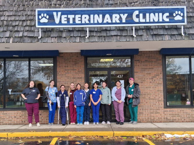 BOCES Students Support Cat Care At Dunkirk Clinic